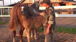 Почему кусаются и лягаются жеребята. Психология лошади.