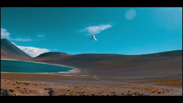 Viagem Atacama смотреть онлайн