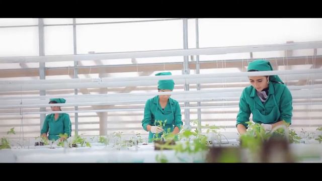 Тепличный комплекс под ключ AGRODINAMIX смотреть онлайн