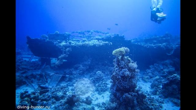 Nikon 1 J1 под водой смотреть онлайн