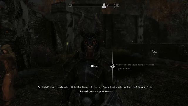 Bikhai marriage (Khajiit will follow 4.0) смотреть онлайн