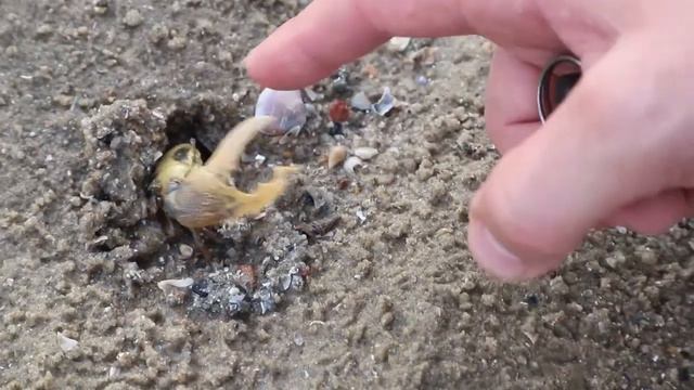 Пещера скрытых уголков