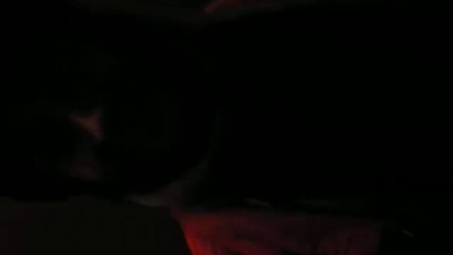 Галюня))) смотреть онлайн