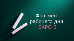 Один день на пилораме. Барс-5.