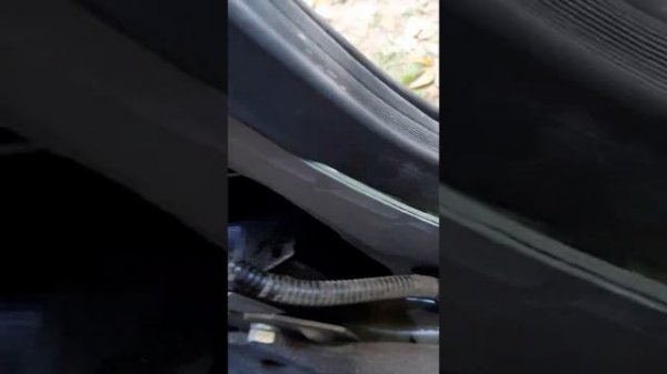 Заедание ремня безопасности на Лада Калина