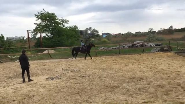 Тренировки Май-Июнь 2018 смотреть онлайн