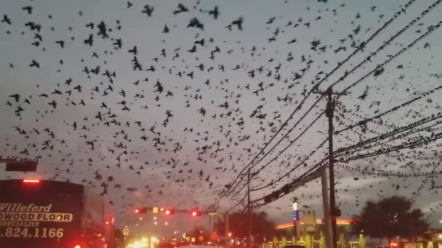 Катаклизмы в Феврале 2018 смотреть онлайн