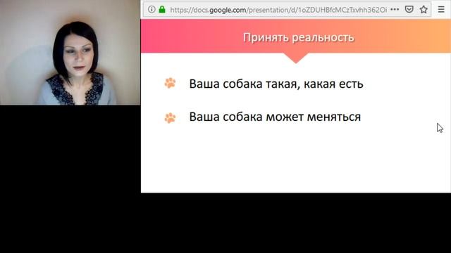 Праздник непослушания для владельцев: 5 способов облегчить жизнь с собакой смотреть онлайн