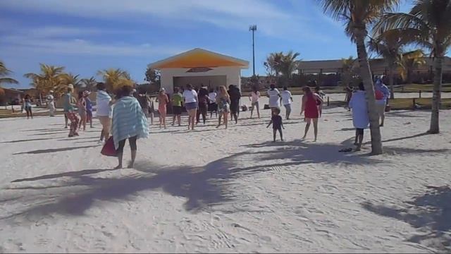 TTC VLOG #94 - RAINBOW BABY BRACELET / NEW BBT THEROMETER / GREAT STIRRUP CAY / NCL SKY / 12.18.201 смотреть онлайн