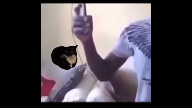 КОТ МАКСВЕЛЛ ПОЁТ ПЕСНЮ!!! смотреть онлайн