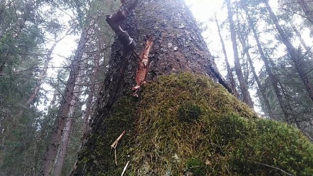 Ремонтные Легенды