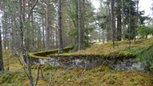 Вячеслав Токарев. Каменная лестница в небо. Остров Густой. Выборгская Шамбала.
