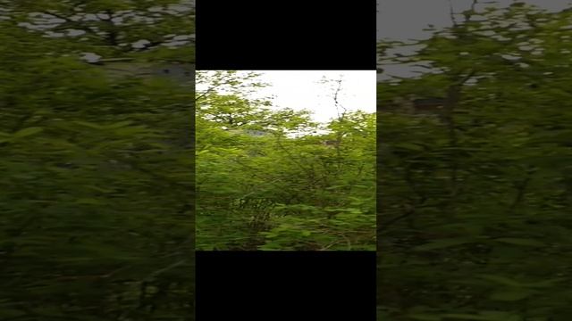 Июнь месяц, санаторий Серебряный бор смотреть онлайн