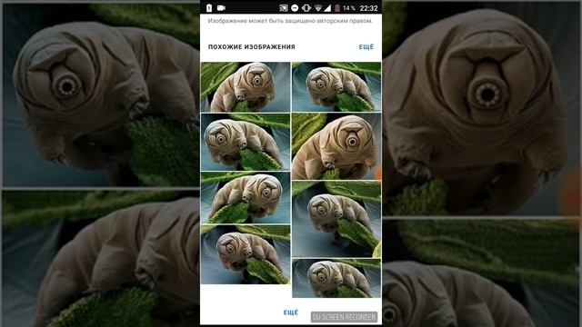 Знакомтесь, тихоходка часть 1 смотреть онлайн