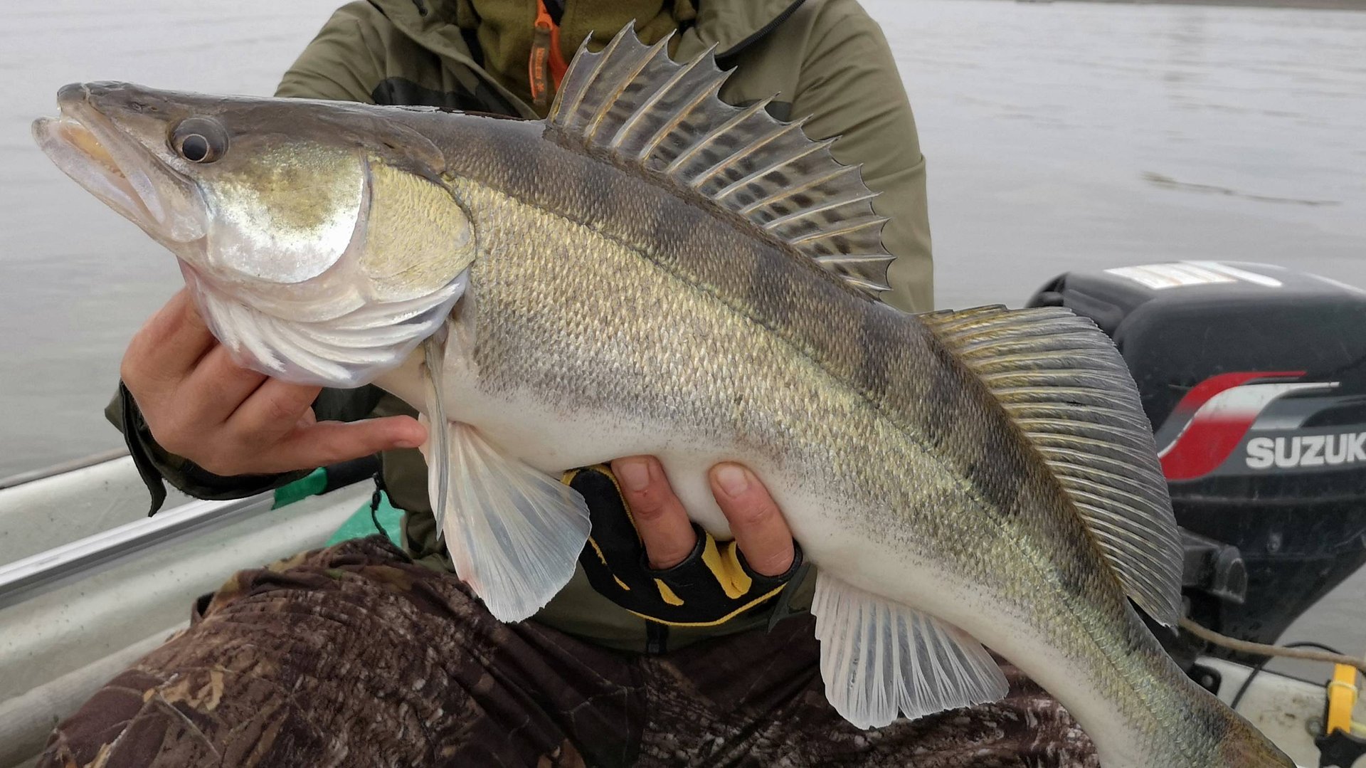 Трофейные клыкастики на реке Ахтуба 2019 (часть 2), ловля судака весной. Троллинг в один спиннинг