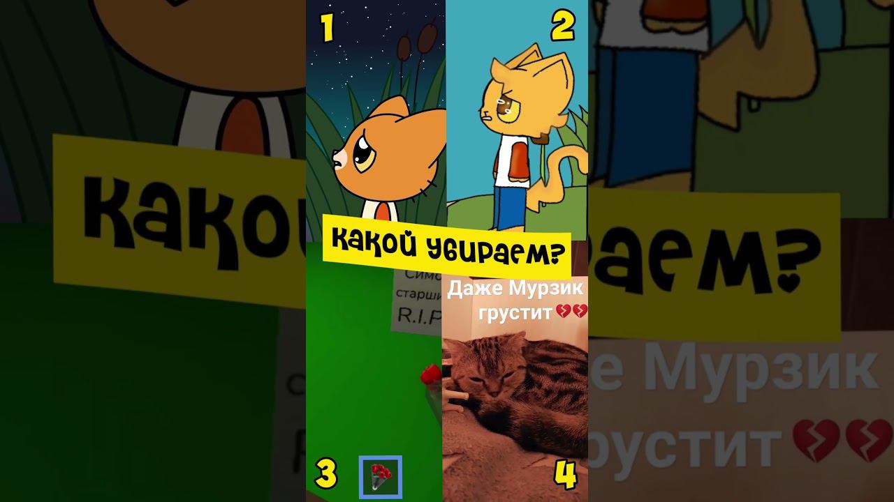 какой убираем? #shorts #рекомендации #котики #симбочка #пока_симба #старое #видео #новое #обновление смотреть онлайн