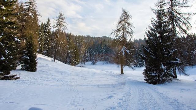 Евангелие дня.Святые дня. Обре́тение мощей прп. Серафи́ма, Саровского чудотворца.(01 августа 2020 г смотреть онлайн