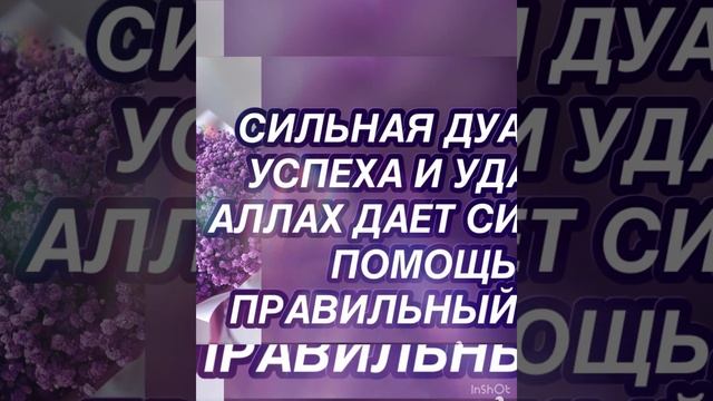 СИЛЬНАЯ ДУА ДЛЯ УСПЕХА И УДАЧИ - АЛЛАХ ДАЕТ СИЛЫ И ПОМОЩЬ ПРАВИЛЬНЫЙ ПУТЬ#koran#dua#maruzalar#domla
