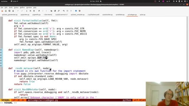 PyPy Twitch Stream: Walrus operator part 1 смотреть онлайн