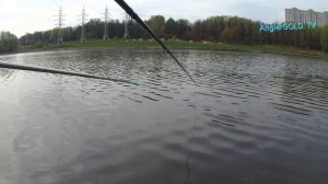 Матчевая ловля.  Поплавок ваглер. Незнакомый пруд. матчевая удочка. плотва.  ловля леща