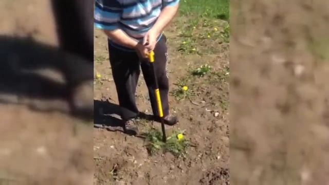 Извлекатель сорняков Торнадика (Торнадо) смотреть онлайн