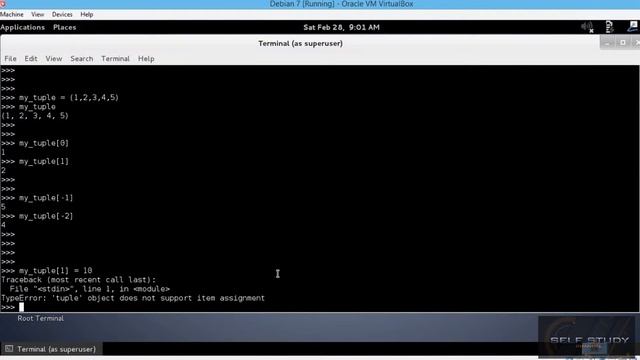 Python for beginner 022 Python Tuples introduction смотреть онлайн