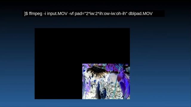 using ffmpeg to pad a video to make it the right shape смотреть онлайн