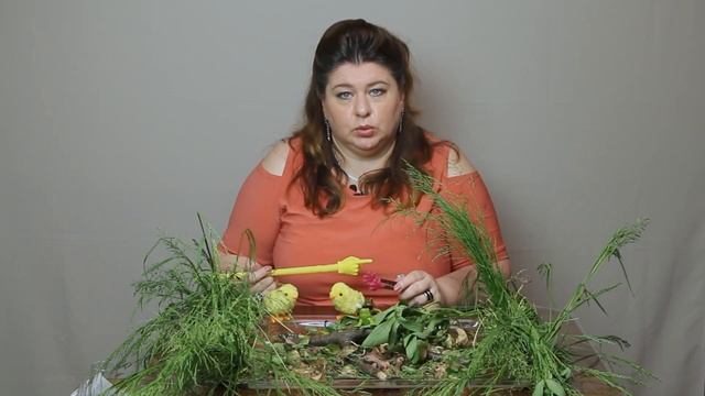 Лягушки на болоте смотреть онлайн