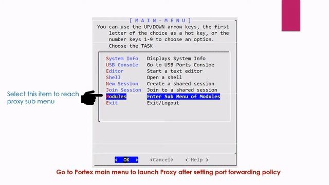 Proxy setup & RDP demo for PORTEX смотреть онлайн