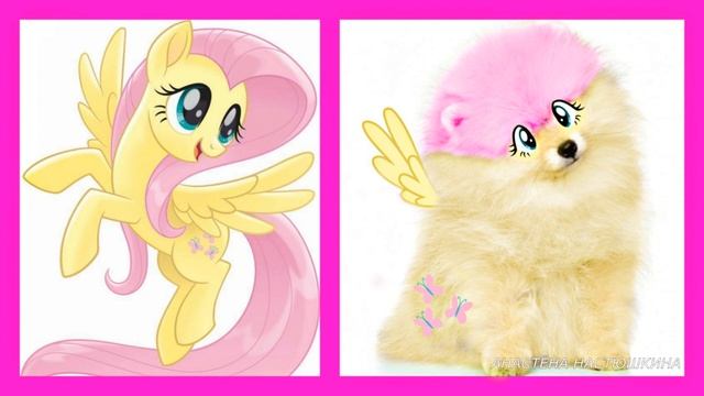 My little pony dogs! смотреть онлайн