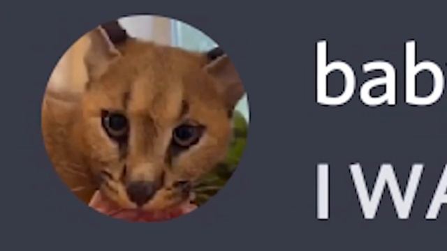 Когда Детёныш Хацкер Голоден... смотреть онлайн