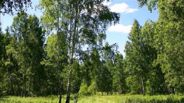 НА ЭТОЙ ОГРОМНОЙ ПЛАНЕТЕ-(Ирина Отиева) смотреть онлайн