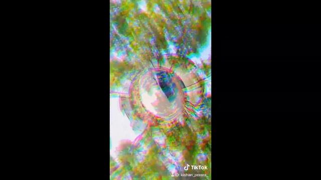 INSTA 360 One X Videography | Toyota Prado 150 | 5.7K смотреть онлайн