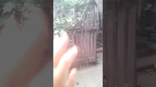 Отключили свет ! Мне страшно ! смотреть онлайн