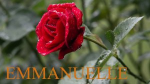 Эммануэль. Саксофон. Фаусто Папетти. Emmanuel. The saxophone. Fausto Papetti.