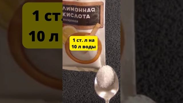 Подсыпьте это под огурцы, чтобы они не болели и завязли много огурчиков #shorts смотреть онлайн