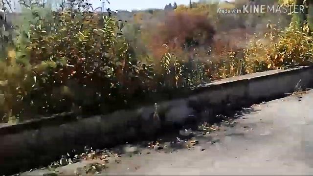 Осенняя прогулка номер 2! Наверно последние такие тёплые деньки. смотреть онлайн