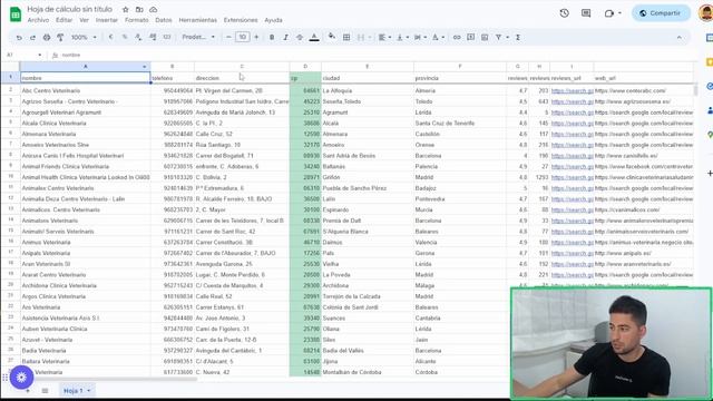 IMPORTAR desde GOOGLE SHEET a WORDPRESS - Webs AUTOMÁTICAS смотреть онлайн