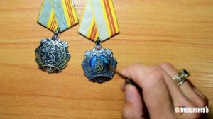 обзор и стоимость орденов трудовой славы