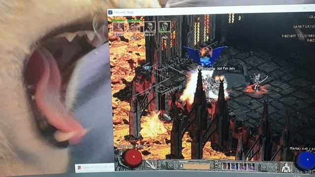 Diablo 2 - Summon Necro - bot doing chaos on Hell! / HC Ladder! (2021) смотреть онлайн