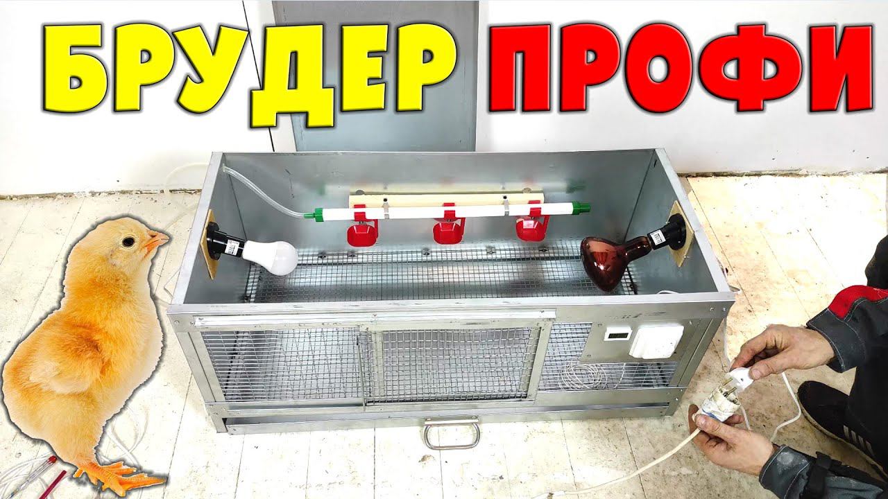 Брудер Профи от Большого фермера смотреть онлайн