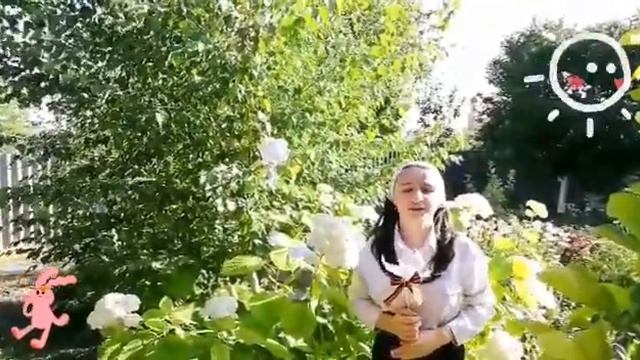 Флешмоб «Голубь мира» смотреть онлайн