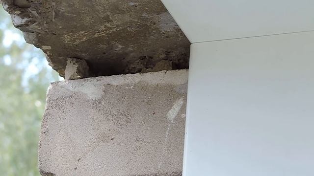 Мои домашние осы смотреть онлайн