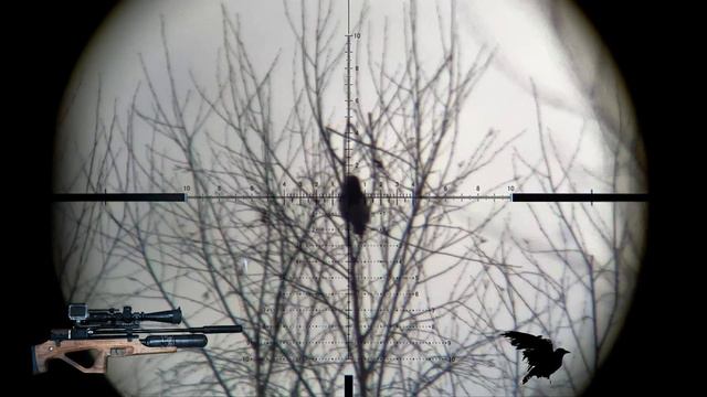 Crow Hunting-Кроухантинг, Егерь 5,5 в деле