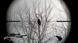 Crow hunting-Кроухантинг, Егерь 5,5 в деле