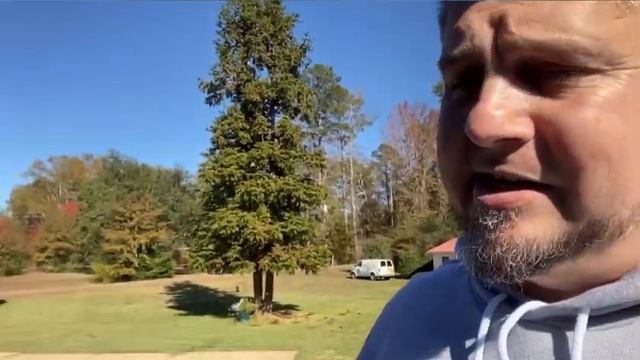 Things you should know before getting a Blue & Gold Macaw Parrot смотреть онлайн