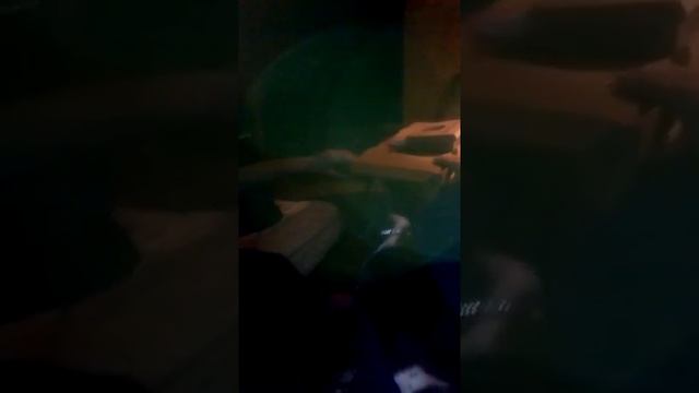 My dog goes beserk!!!!! over Pizza Hut смотреть онлайн