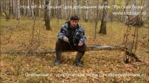 Нож НР-43 «Вишня» для добивания зверя. Русский булат отзыв