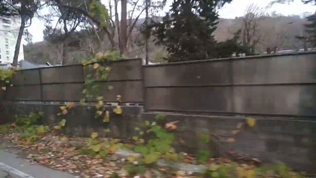 Дорога из Сочи... смотреть онлайн