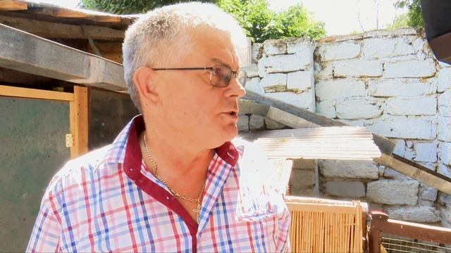 В одесском зоопарке спасают осла, который катал туристов смотреть онлайн